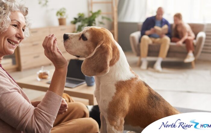 An older woman smiles while giving a dog a treat, representing the joy that dogs can bring.
